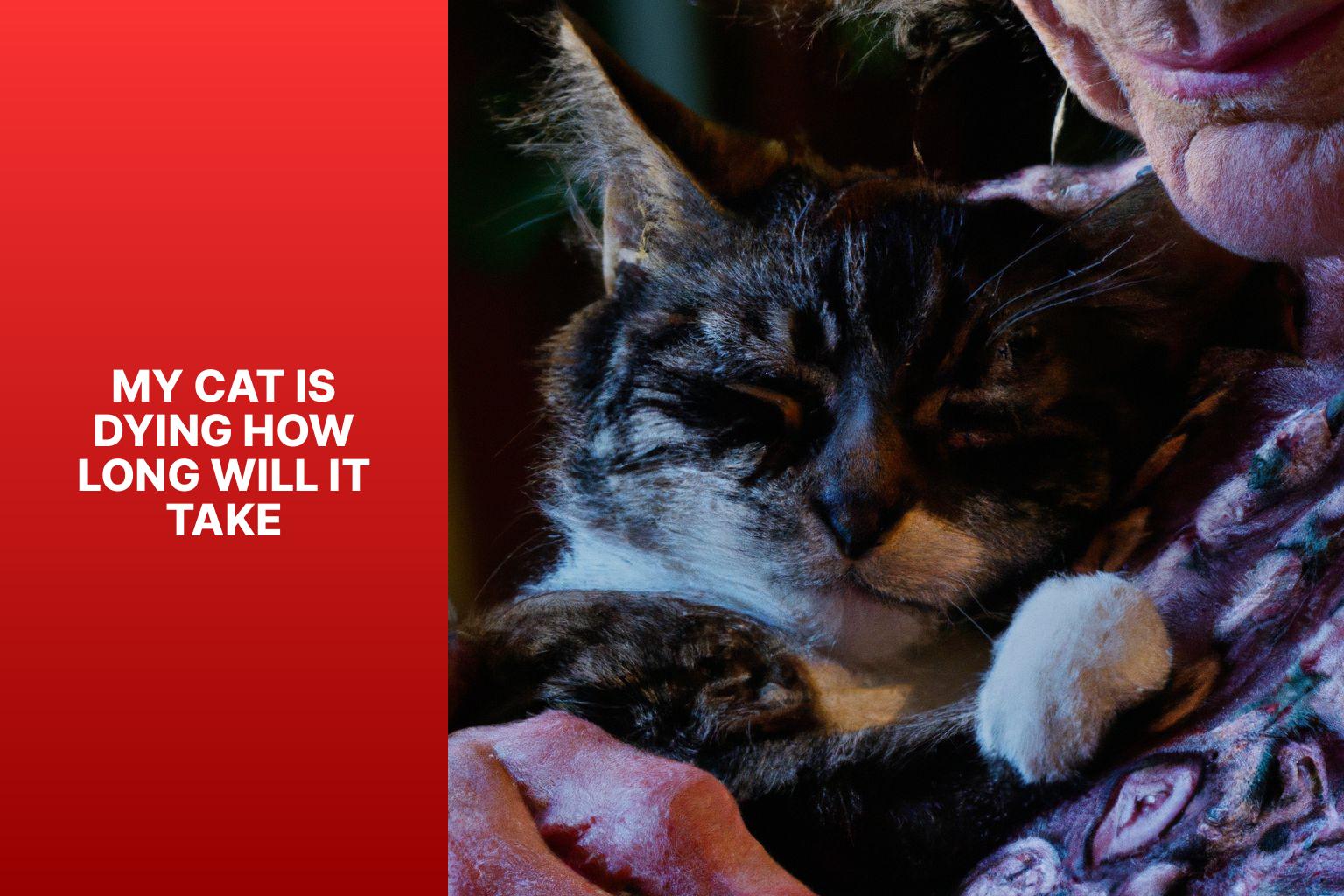 How Long Can Cats Go Without Water