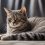 Unraveling the Mystery: European Shorthair Shedding Explained