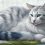 Discover the Allure of a Turkish Van Grey Cat Today