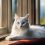 Discovering the Majestic White Turkish Van Cat – A Unique Feline