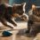 Unraveling the Mystery: Why are Cats Called Pussies?