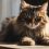 Unraveling the Mystery: Why Do Cats Eat Hair?
